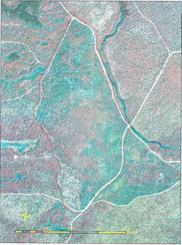 Aerial photo showing roposed burn site.