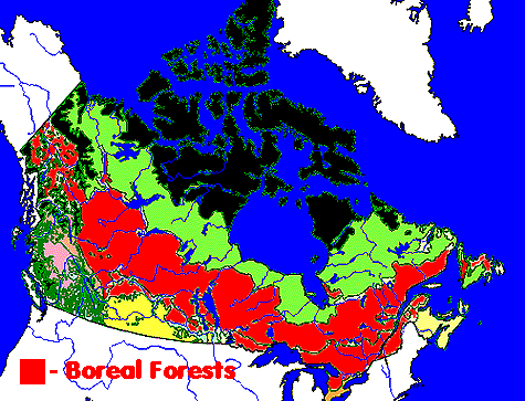 borealmap.gif (46628 bytes)