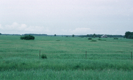 Chippewa Clay Plains