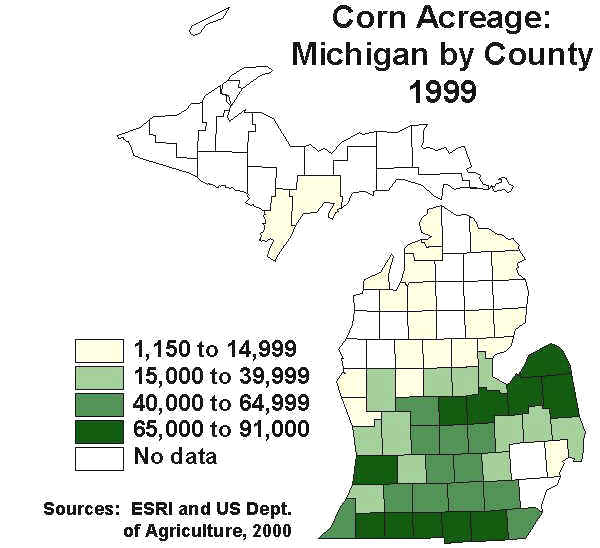 corn99.jpg (65272 bytes)