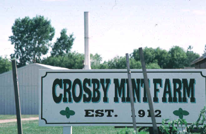 crosby_mint_farm.JPG (81093 bytes)