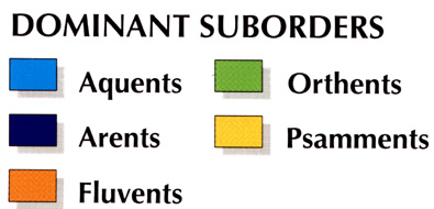 entisols-suborders-legend.jpeg (28660 bytes)