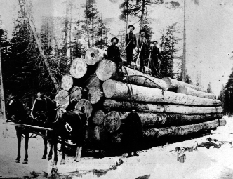 Logging cart