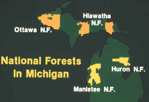 mi-natl-forests.jpeg (123103 bytes)