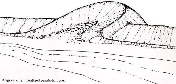 parabol-dune-individ.jpeg (76268 bytes)