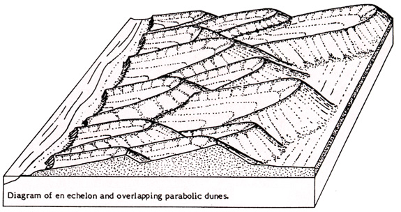 parabol-dune-overlapping.jpeg (110142 bytes)