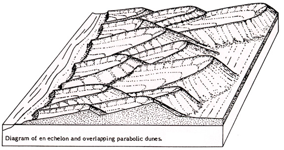 parabolic dune