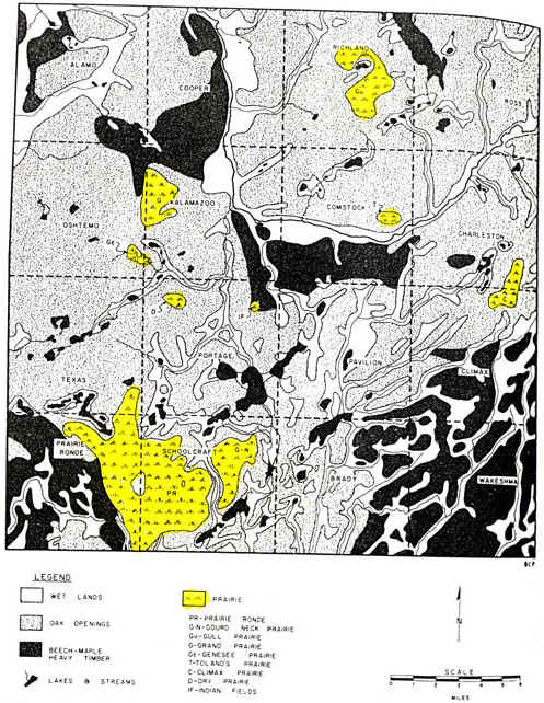 pioneer_landscapes_of_kalamazoo_county.JPEG (149591 bytes)