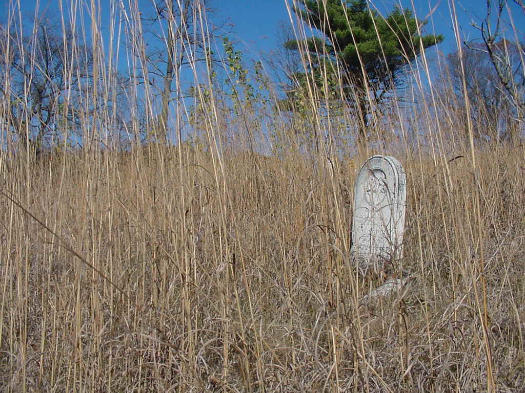 prairie-in-cemetary.jpeg (139606 bytes)