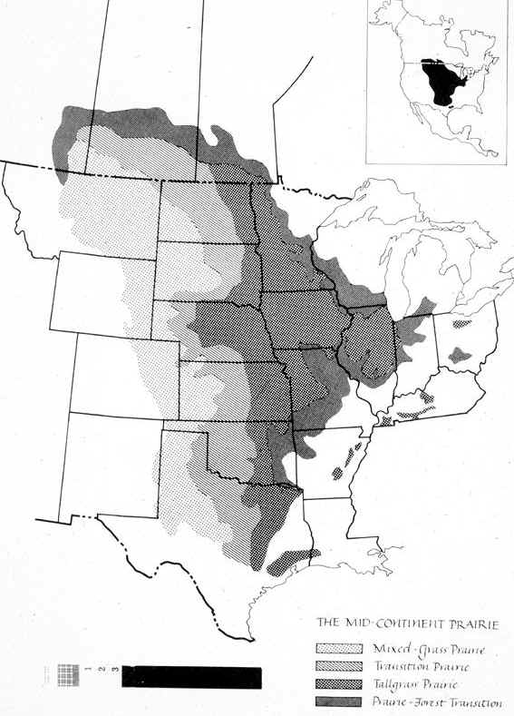 prairie.jpeg (90299 bytes)