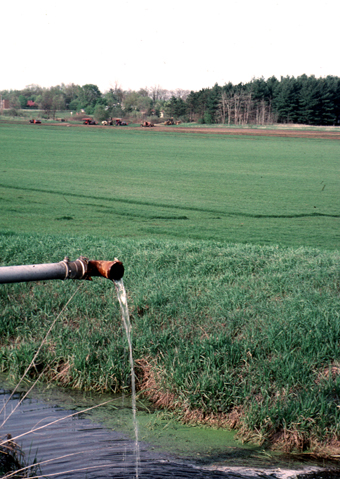 pumping-watertable-sodfarm.jpg (200379 bytes)
