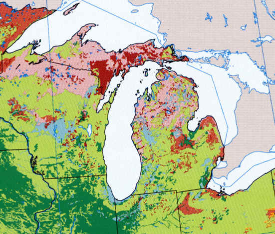 soil-order-map.jpeg (304853 bytes)