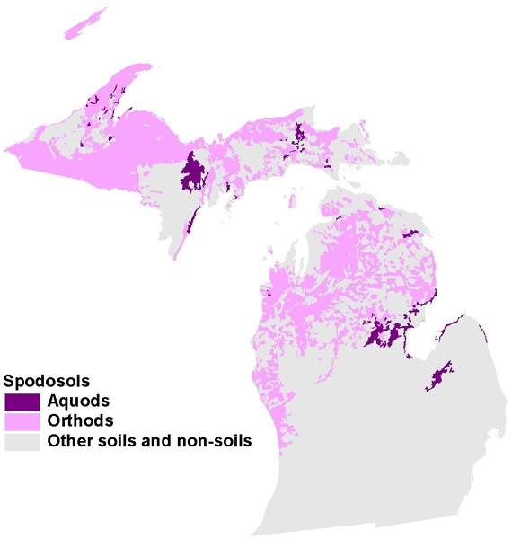 soilmap-aquod-orthod.jpeg (77866 bytes)