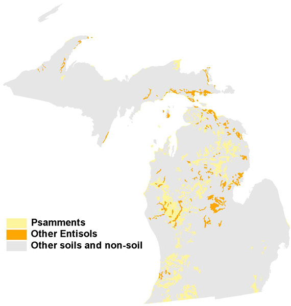 soilmap-psamments.jpeg (64362 bytes)