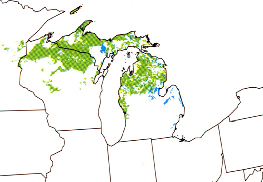 spodosols-suborders-map.jpeg (59151 bytes)