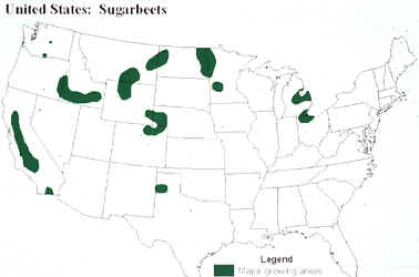 sugar-beets-us-map.jpeg (55076 bytes)