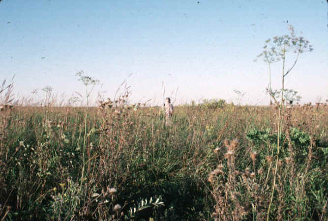 Prairies Where