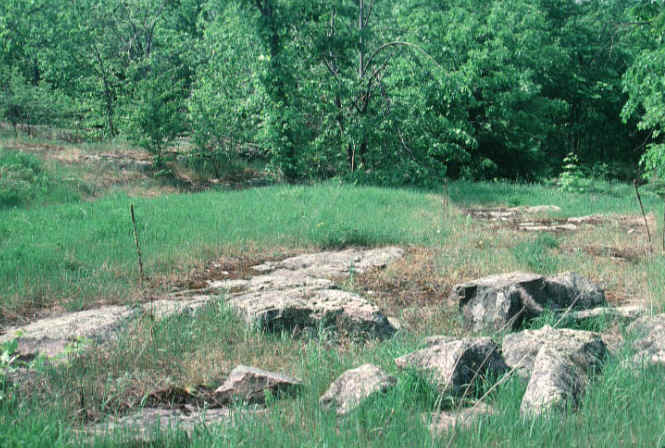 thn_soil_bedrock.JPG (52156 bytes)