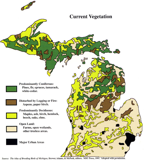 Michigan Public Land Map Michigan Vegetation