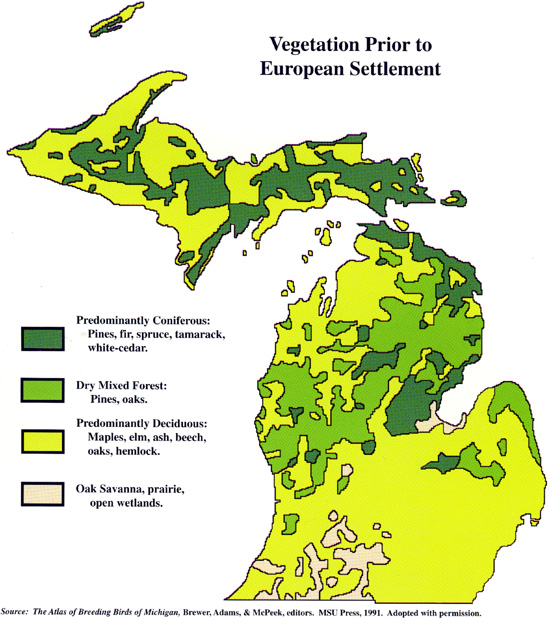 Michigan State Land Map Michigan Vegetation