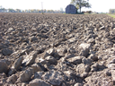 Heavy soil on lake plain