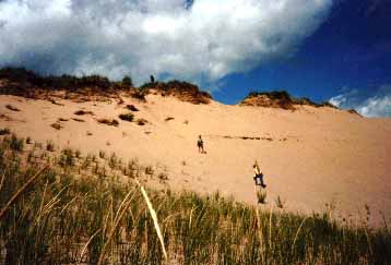 Sleeping Bear Dunes: photo by Karen Stark
