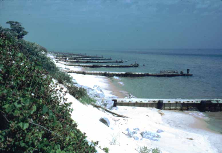 photo used by permission of Dr. Gail Vander Stoep, Copyright 1997